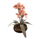 Arranjos De Amarílis Rosa Artificial No Vaso Bronze | Formosi